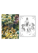 Fleurs, le livre d'inspiration et de coloriage